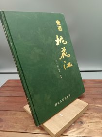 走进桃花江