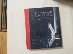 JAMES STEWART CALCULUS