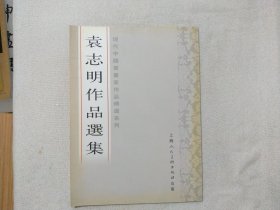 袁志明作品选集