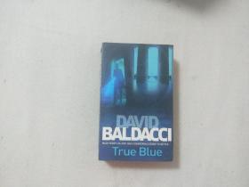 DAVID BALDACCI TRUE BLUE