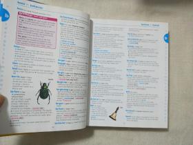 Longman Elementary Dictionary and Thesaurus （朗文小学词典和词库）英文原版 16开精装 彩印