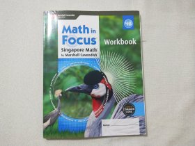 Math in Focus workbook 4B