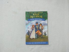 MAGIC TREE HOUSE  21