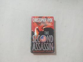 THE SECOND ASSASSIN