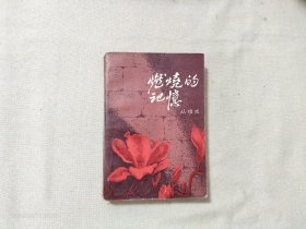 燃烧的记忆