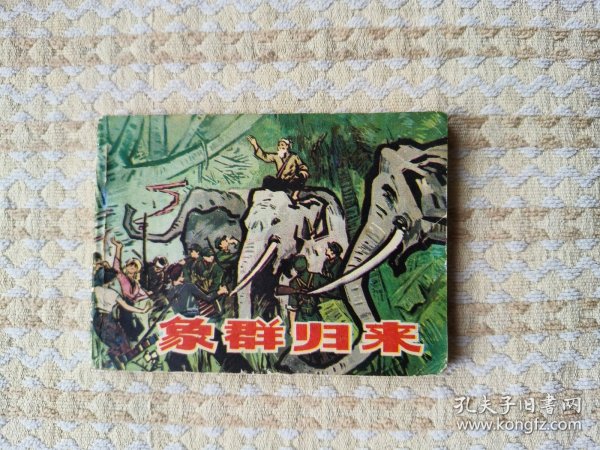 象群归来