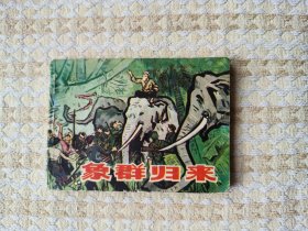 象群归来