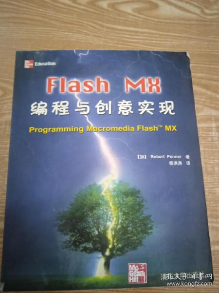 Flash MX编程与创意实现