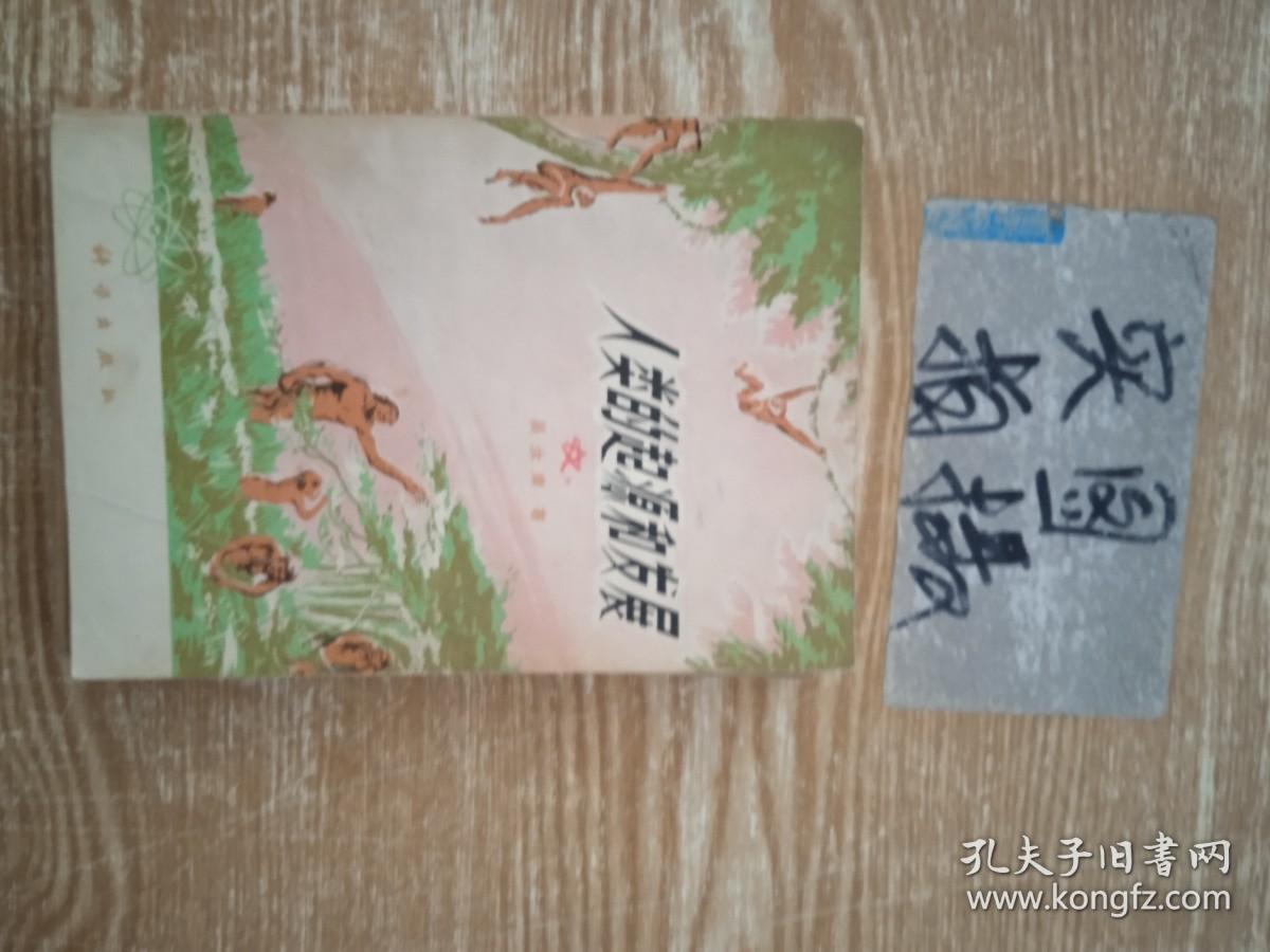 人类的起源和发展，