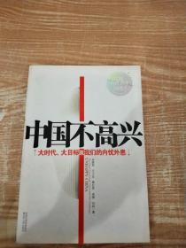 中国不高兴：大时代大目标及我们的内忧外患