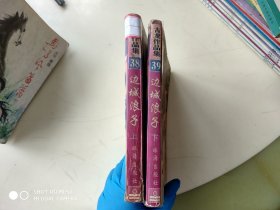 边城浪子 上下  架514内