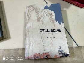 万山红遍 下  架29上中