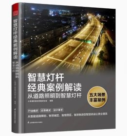 智慧灯杆经典案例解读 : 从道路照明到智慧灯杆