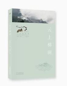 云上梯田