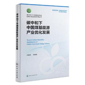 碳中和下中国能源转型与煤炭清洁高效利用丛书--碳中和下中国煤基能源产业优化发展