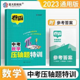 2023新版 压轴题特训中考数学  强化训练 初三中考总复习资料 初中七八九年级必刷题专项分类试卷