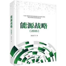 能源战略（2035）