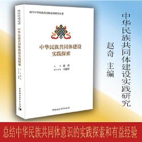 铸牢中华民族共同体意识研究丛书：中华民族共同体建设实践探索