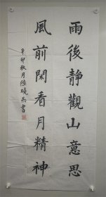 纪念辛亥革命百年书法大赛，广东省首届女书法家作品展览  作者：陆晓燕   作品：““雨后静观山意思，风前闲看月精神”辛卯秋月 陆晓燕书