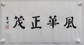 郑觉登先生书法作品：风华正茂