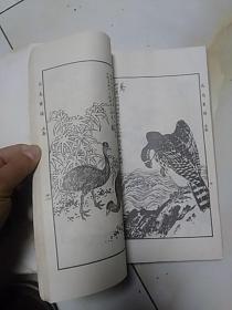 分类画范自习画谱大全     【二】花鸟走兽，多册合订本(启功题写书名)