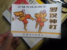 少林寺技击精华 罗汉神打