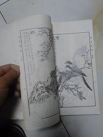 分类画范自习画谱大全     【二】花鸟走兽，多册合订本(启功题写书名)