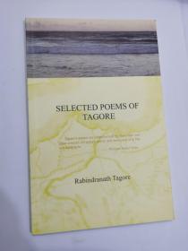 双语译林壹力文库0061:SELECTED POEMS OF TAGORE(英文版：泰戈尔诗选)