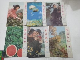 农业知识 （6册合售）