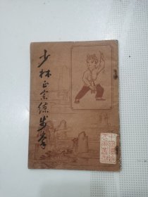 少林正宗练步拳