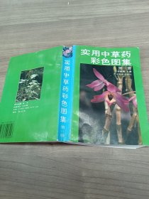 实用中草药彩色图集（第一册）