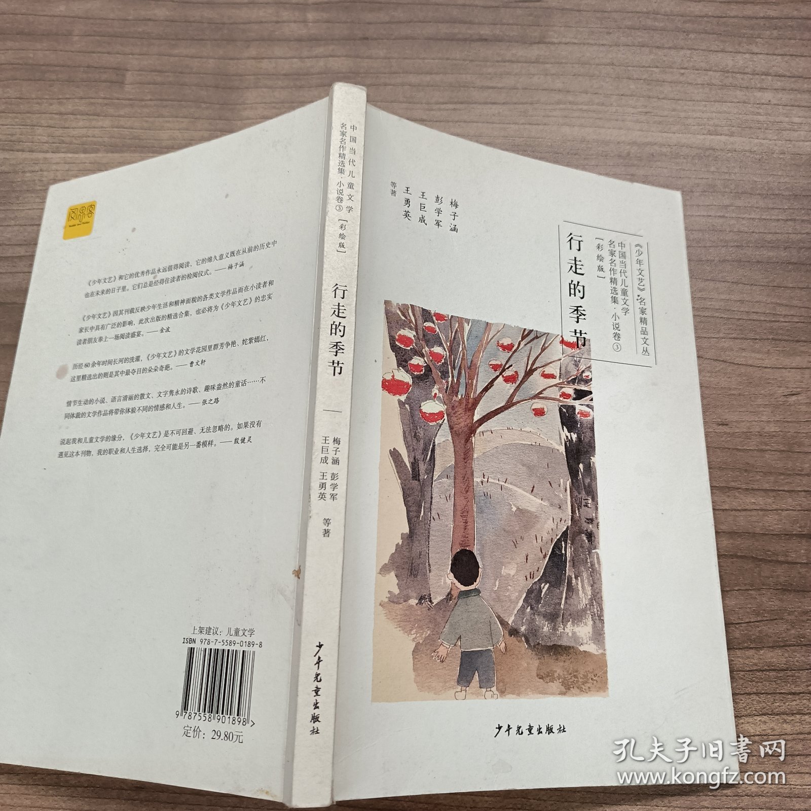 中国当代儿童文学名家名作精选集（彩绘版）小说卷3：行走的季节