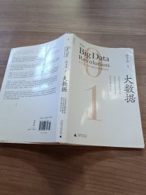 大数据：正在到来的数据革命，以及它如何改变政府、商业与我们的生活..