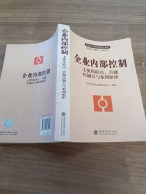 企业内部控制(主要风险点、关键控制点与案例解析)