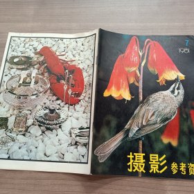 摄影参考资料 1981年 第7期