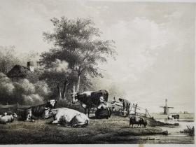1850年石版画《牧牛景象een landschap met rustend vee》尺寸34*25.7厘米--出自荷兰画家,h.van de sande bakhuijzen ，油画作品，雕刻师：c.w.mieling，荷兰出版