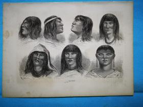 1864年木版画《秘鲁热带雨林中的土著.安蒂斯印第安人的类型types d'antis》整版画页，反面有字，尺寸29.5*21.2厘米，