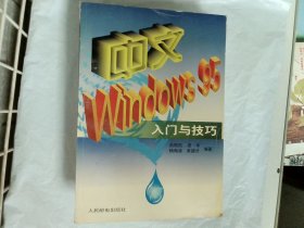 中文Windows95入门与技巧