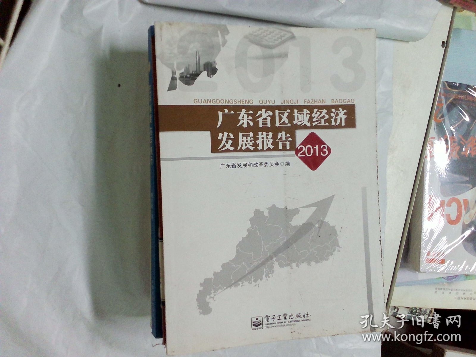 广东省区域经济发展报告. 2013