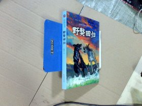 牧铃动物小说系列 野獒回归
