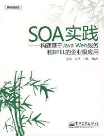 SOA实践：构建基于Java Web服务和BPEL的企业级应用