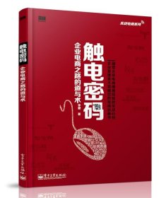 实战电商系列·触电密码：企业电商之路的道与术（全彩）