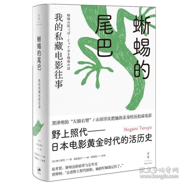 蜥蜴的尾巴：我的私藏电影往事