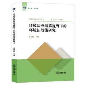 环境法典编纂视野下的环境法效能研究