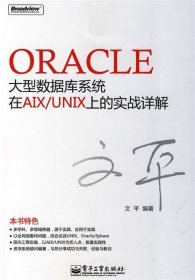 Oracle大型数据库系统在AIX/UNIX上的实战详解