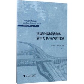 常规公路桥梁典型病害分析与养护对策