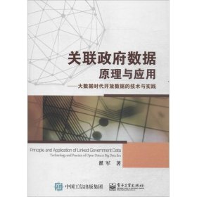 关联政府数据原理与应用大数据时代开放数据的技术与实践