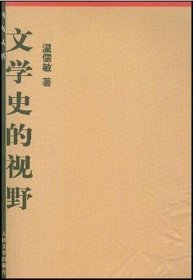 文学史的视野