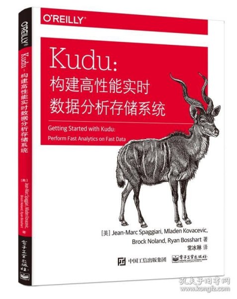 Kudu：构建高性能实时数据分析存储系统(博文视点出品)