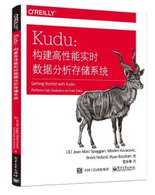 Kudu：构建高性能实时数据分析存储系统(博文视点出品)